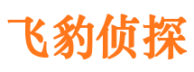 田家庵市调查公司